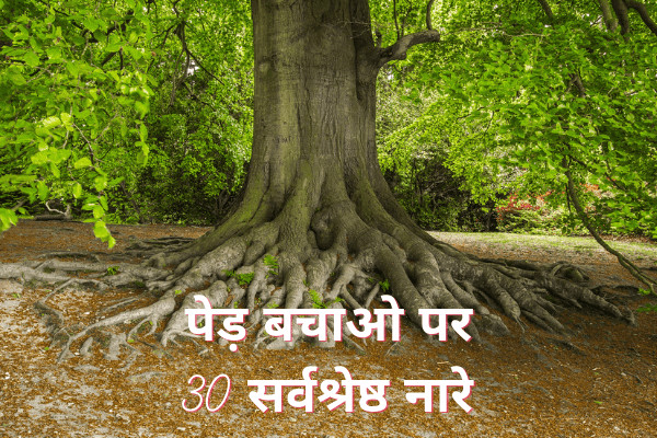 पेड़ बचाओ पर 30 सर्वश्रेष्ठ नारे 2024 Save Tree Slogans In Hindi 