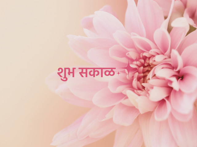Shubh Sakal Flower